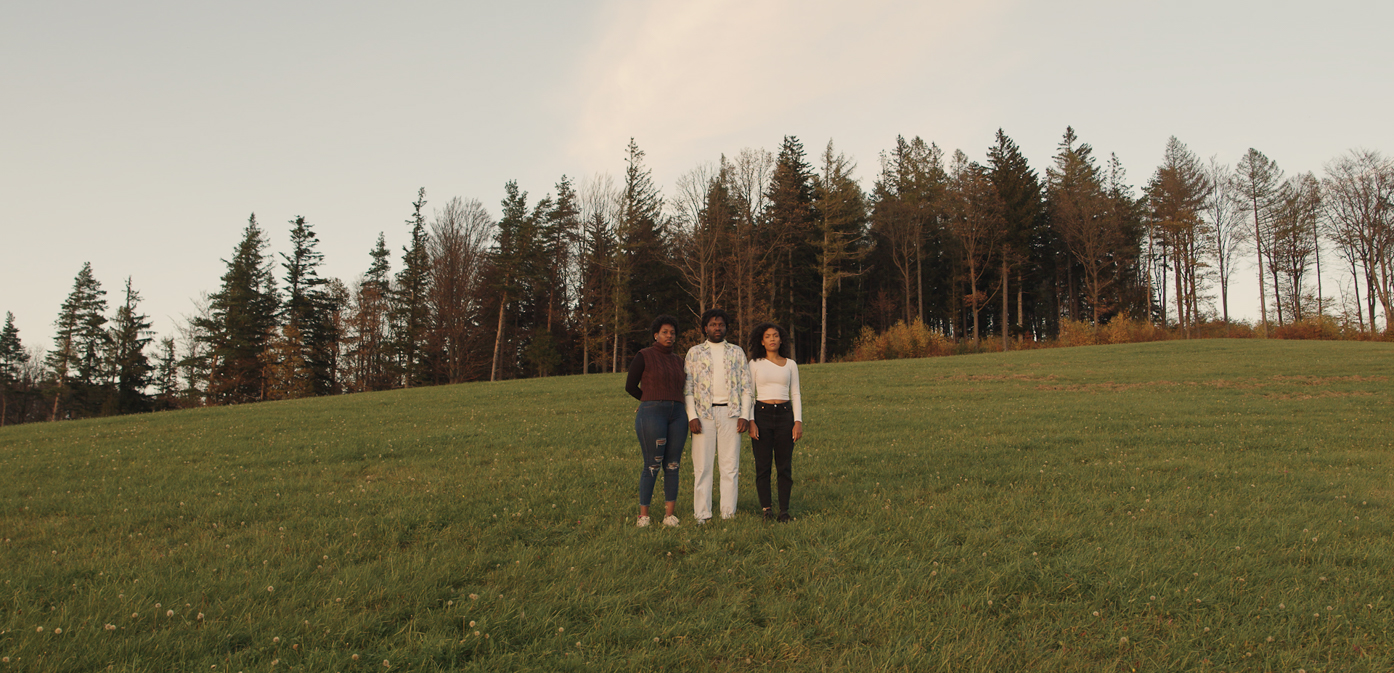 EDELWEISS._c_Rezzarte