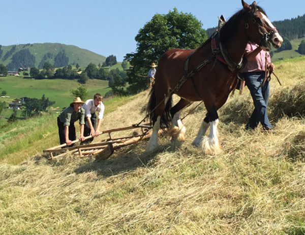 Im-Wandel-der-Zeit-1